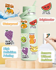 pcnearty vinyl stickers all-weather; water and sun resistant
