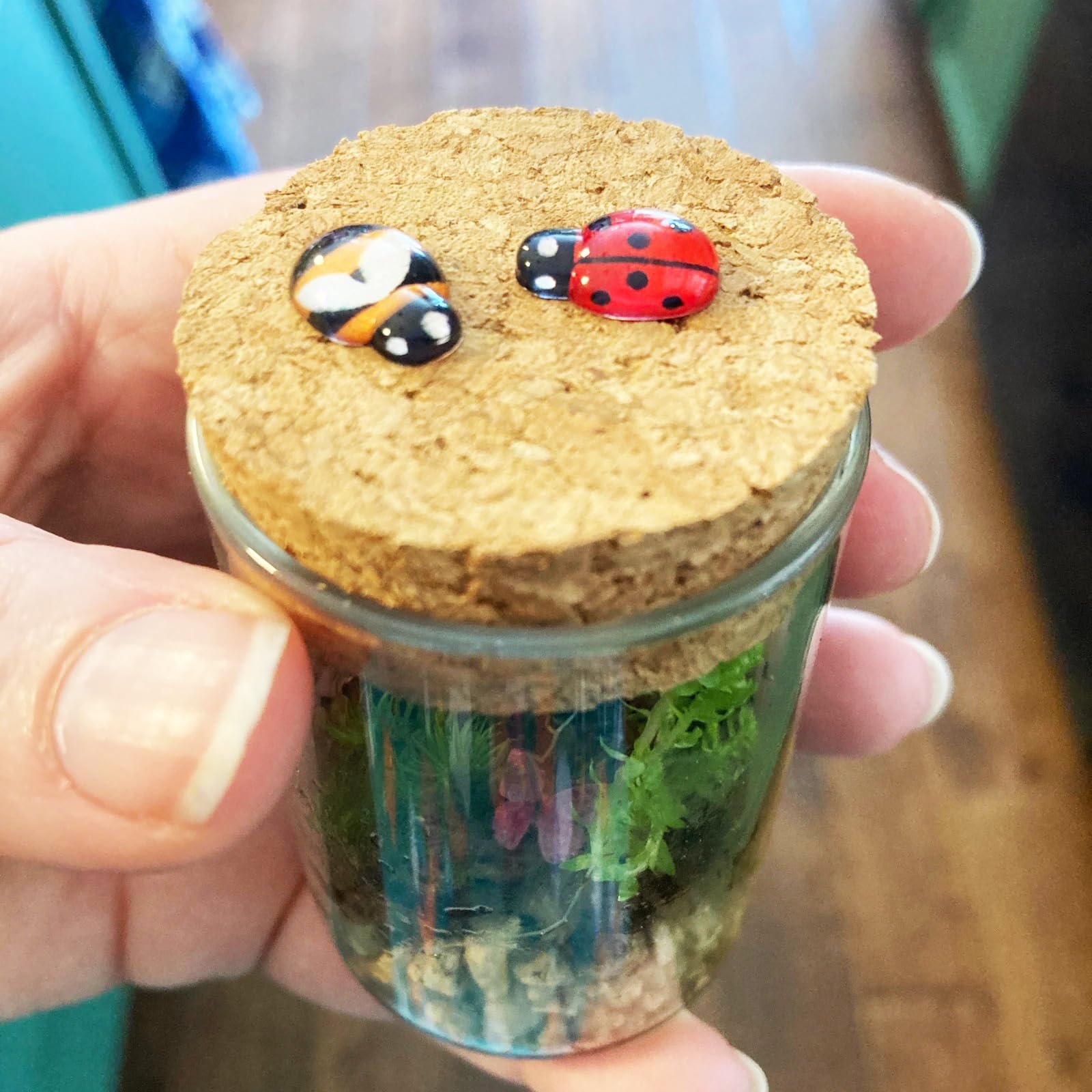 Peachcor colorful insect set as versatile craft accents for scrapbooks