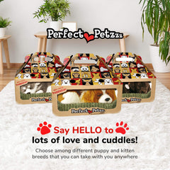 Interactive toy setup for engaging, low-maintenance companionship