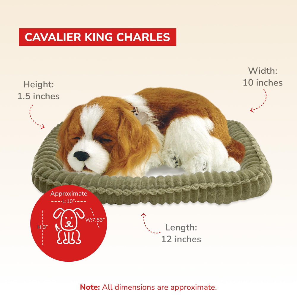 Realistic face of Perfect Petzzz Cavalier King Charles for comforting interaction