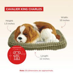 Realistic face of Perfect Petzzz Cavalier King Charles for comforting interaction