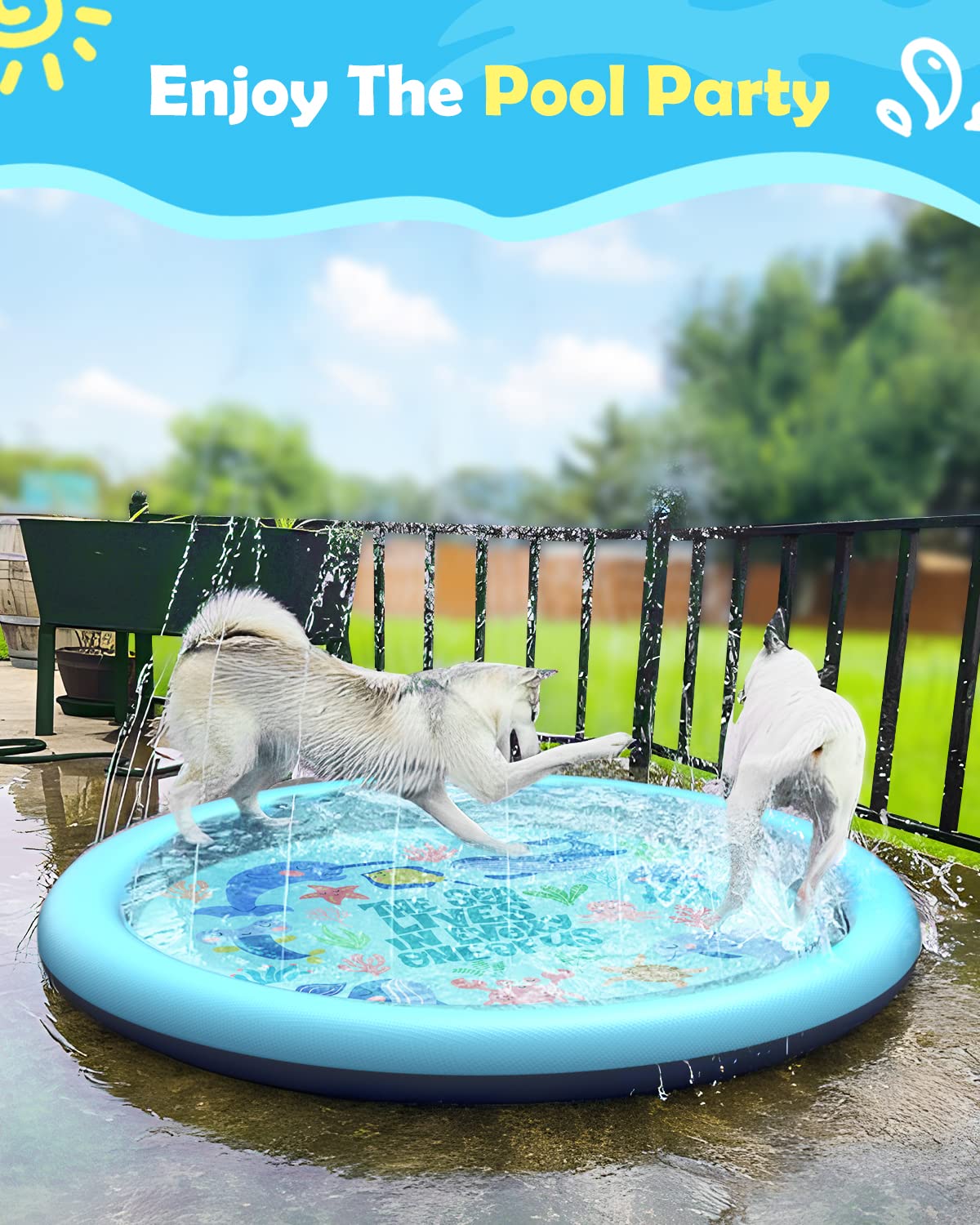 Kids and a dog enjoy the fountain effect on the Peteast splash pad.