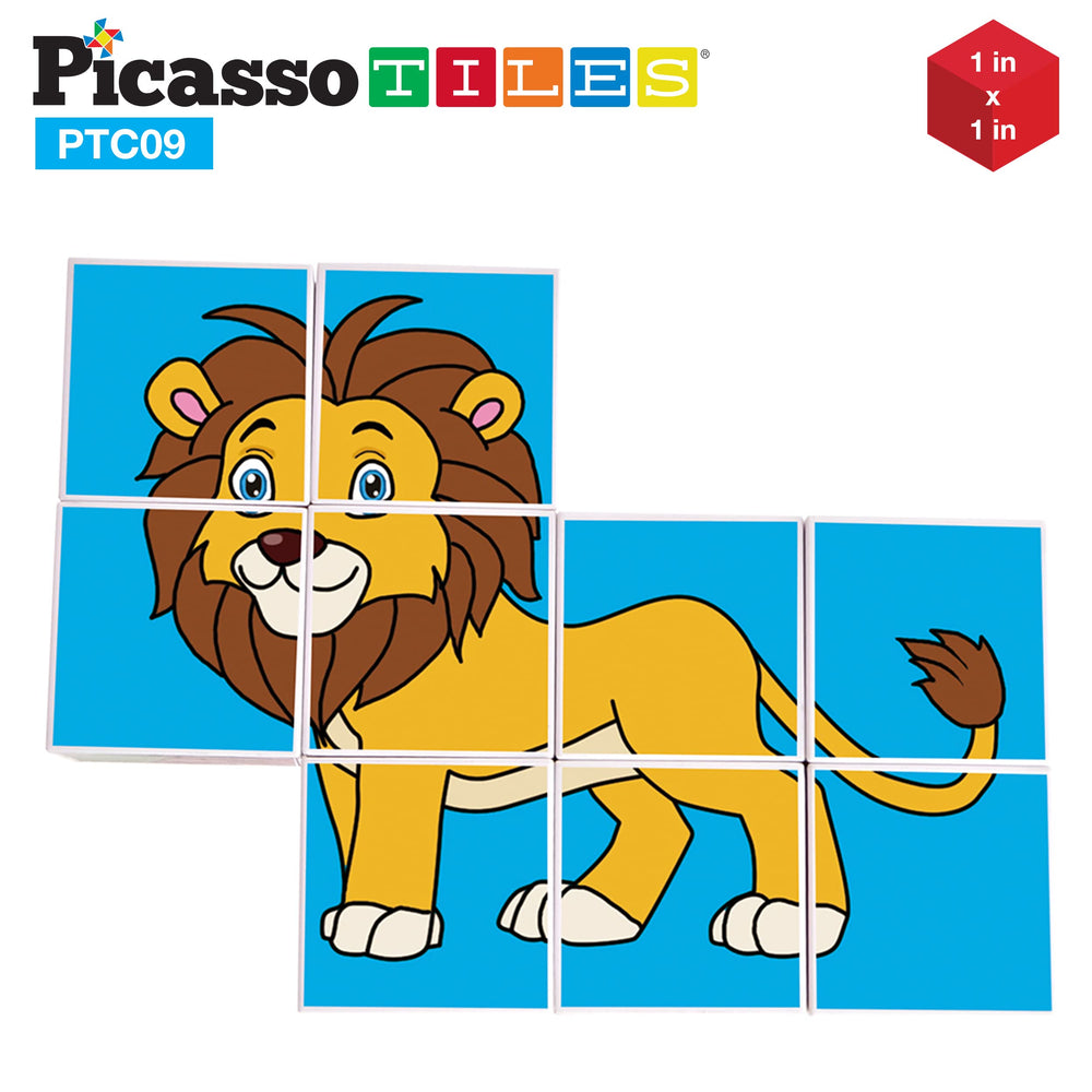 PicassoTiles easy storage solution after creative building sessions.