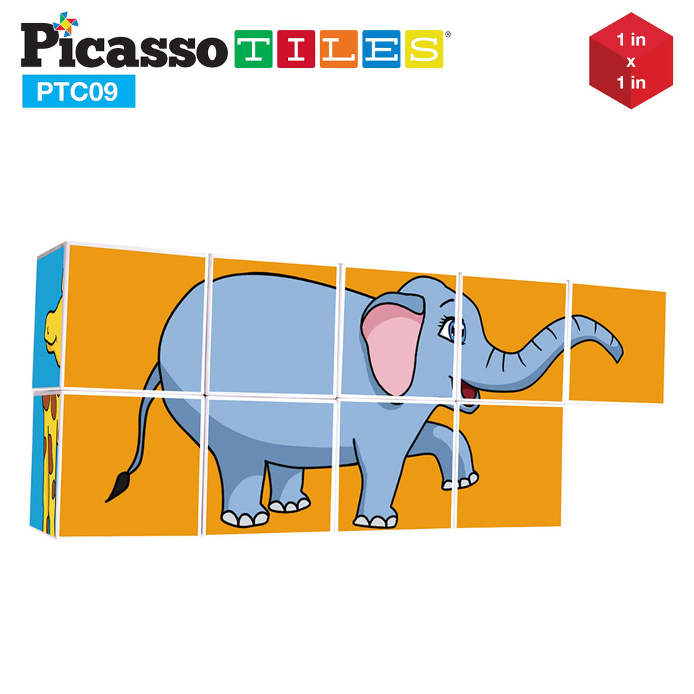 PicassoTiles group play setup promotes teamwork and shared problem solving.