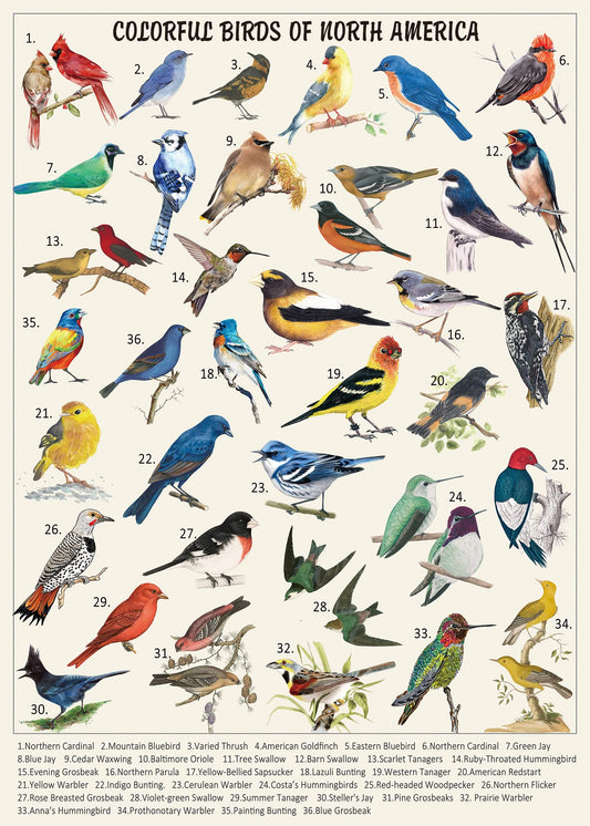 Pickforu vintage-bird-puzzle-box-included supports quick setup.