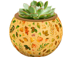 PieceRelax dual-layer planter with drainage cup and sealed drip tray