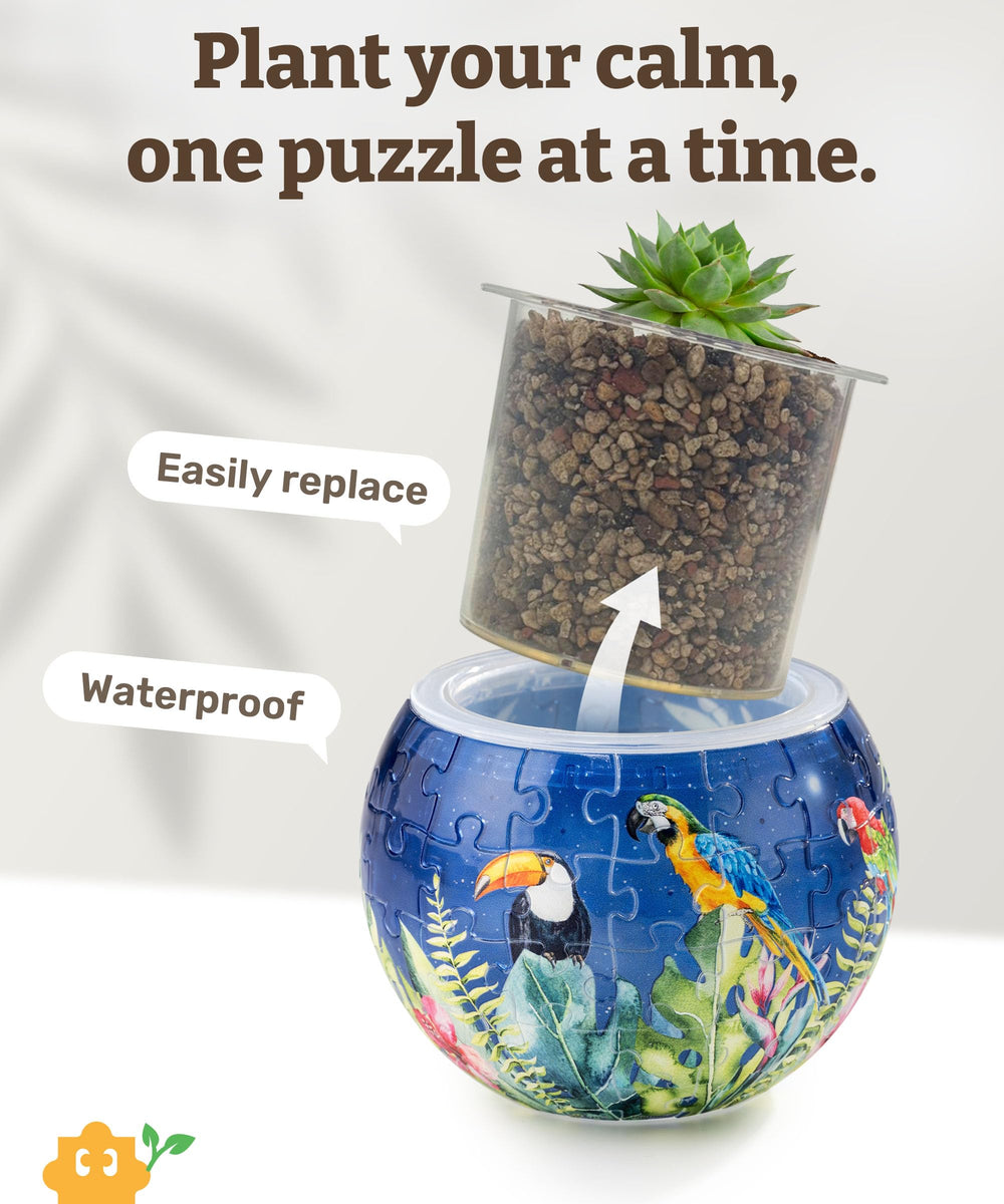 PieceRelax indoor cactus and succulent planter for compact spaces