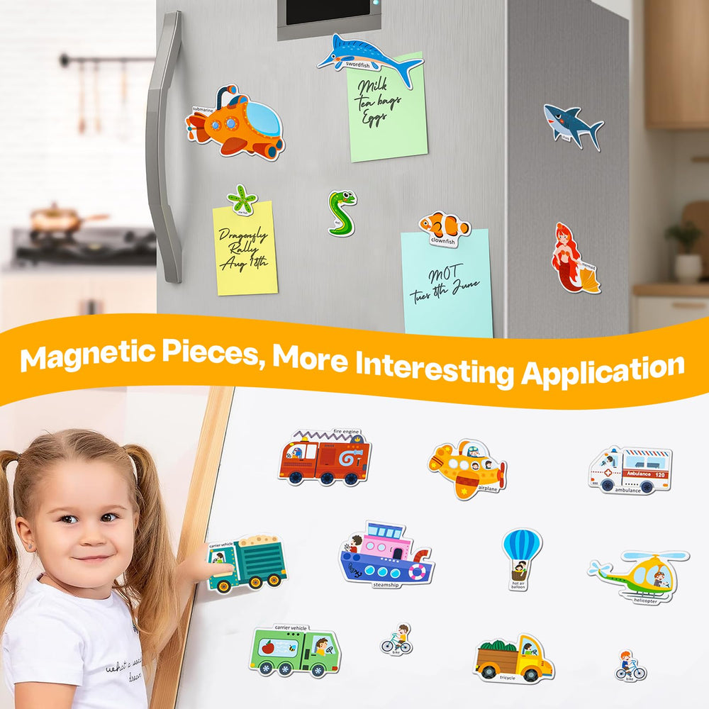 PinkKing magnets on board show durable, safe play for learning activities.