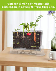 PLANTMEW Root Viewer Kit chili fruit forms slowly but enriches hands-on learning