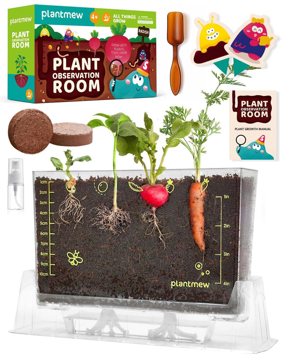 PLANTMEW Root Viewer Kit kidney bean seedling with transparent roots for hands-on learning