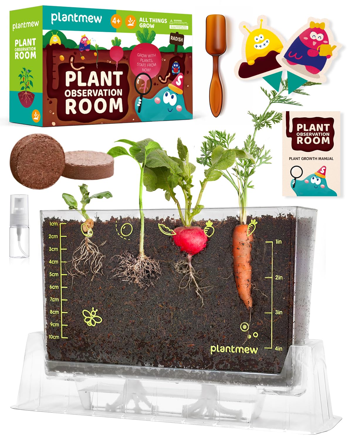 PLANTMEW Root Viewer Kit kidney bean seedling with transparent roots for hands-on learning