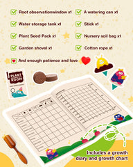 PLANTMEW Root Viewer Kit radish sprout rapid growth and crunchy harvest potential