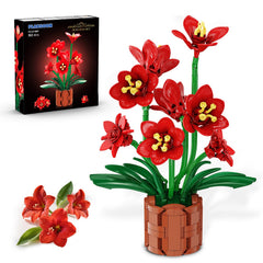 PLAXSOON Amaryllis Bonsai Bouquet overall display enhances home decor with timeless beauty