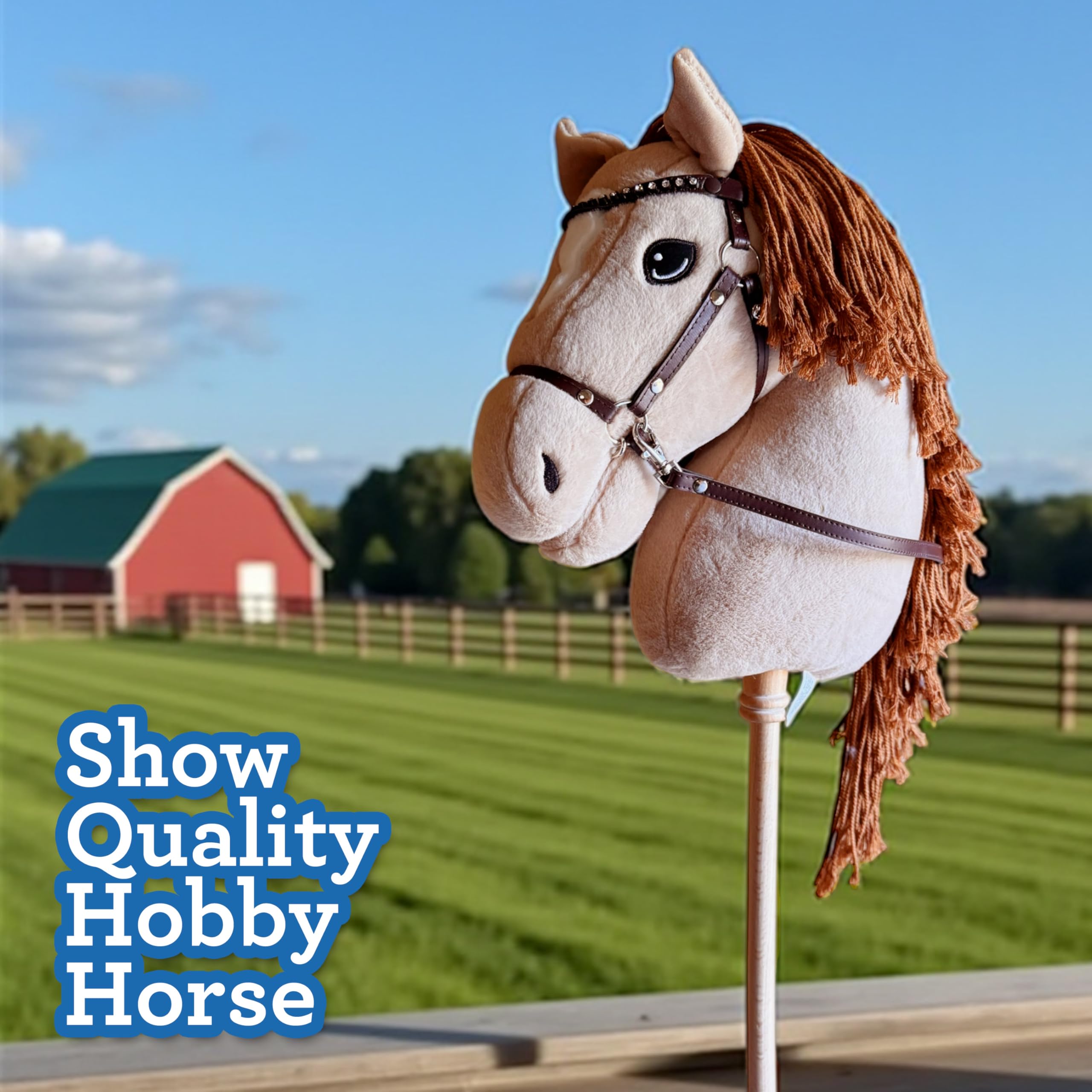 Playful Minds hobby horse screw-in stick for easy storage.