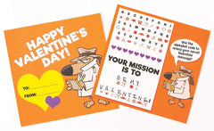 Playhouse Secret Codes write-to-from area on back for personalization