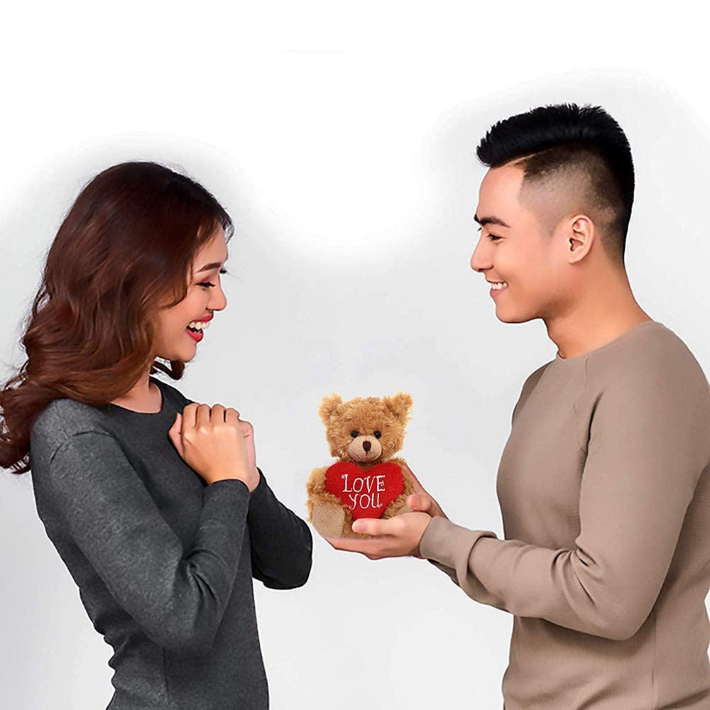 Gift-ready packaging for Plushland Mocha Heart Bear.