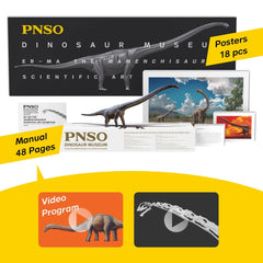 PNSO Mamenchisaurus ER-MA detailed paint for lifelike museum displays.
