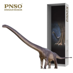PNSO Mamenchisaurus ER-MA eco-friendly base supports safe use.