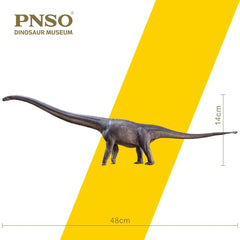 PNSO Mamenchisaurus ER-MA educational manual complements posters and videos.