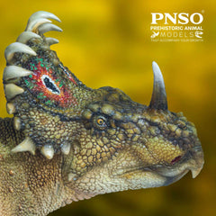 PNSO Sinoceratops 40 A-Qi detailed skin texture enhances visual inspection.
