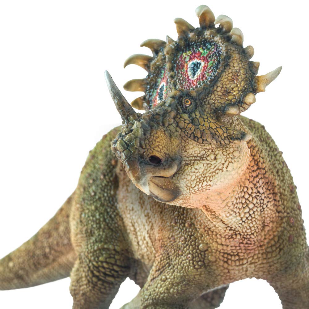 PNSO Sinoceratops 40 A-Qi front view for classroom display and tactile study.