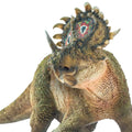 PNSO Sinoceratops 40 A-Qi front view for classroom display and tactile study.
