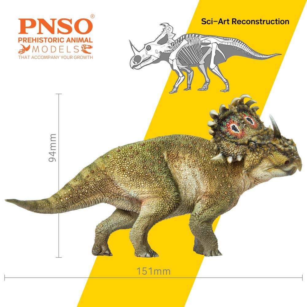 PNSO Sinoceratops 40 A-Qi side profile showing accurate anatomy for learning.