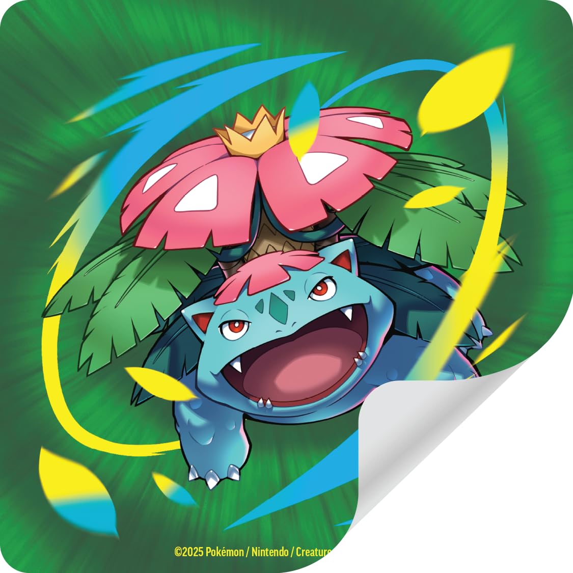 Pokémon Mega Venusaur ex Premium Collection Box showcases a complete starter set.