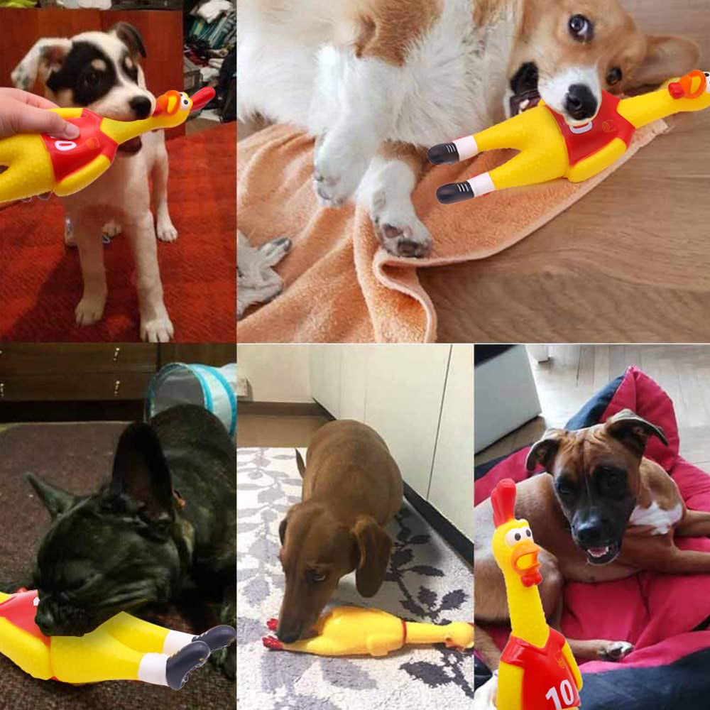 POPLAY ergonomic latex chicken toy designed for long-lasting use.