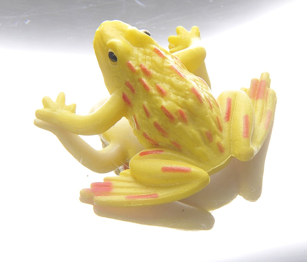 PowerTRC Mirascope illusion with frog highlights playful learning through visuals.