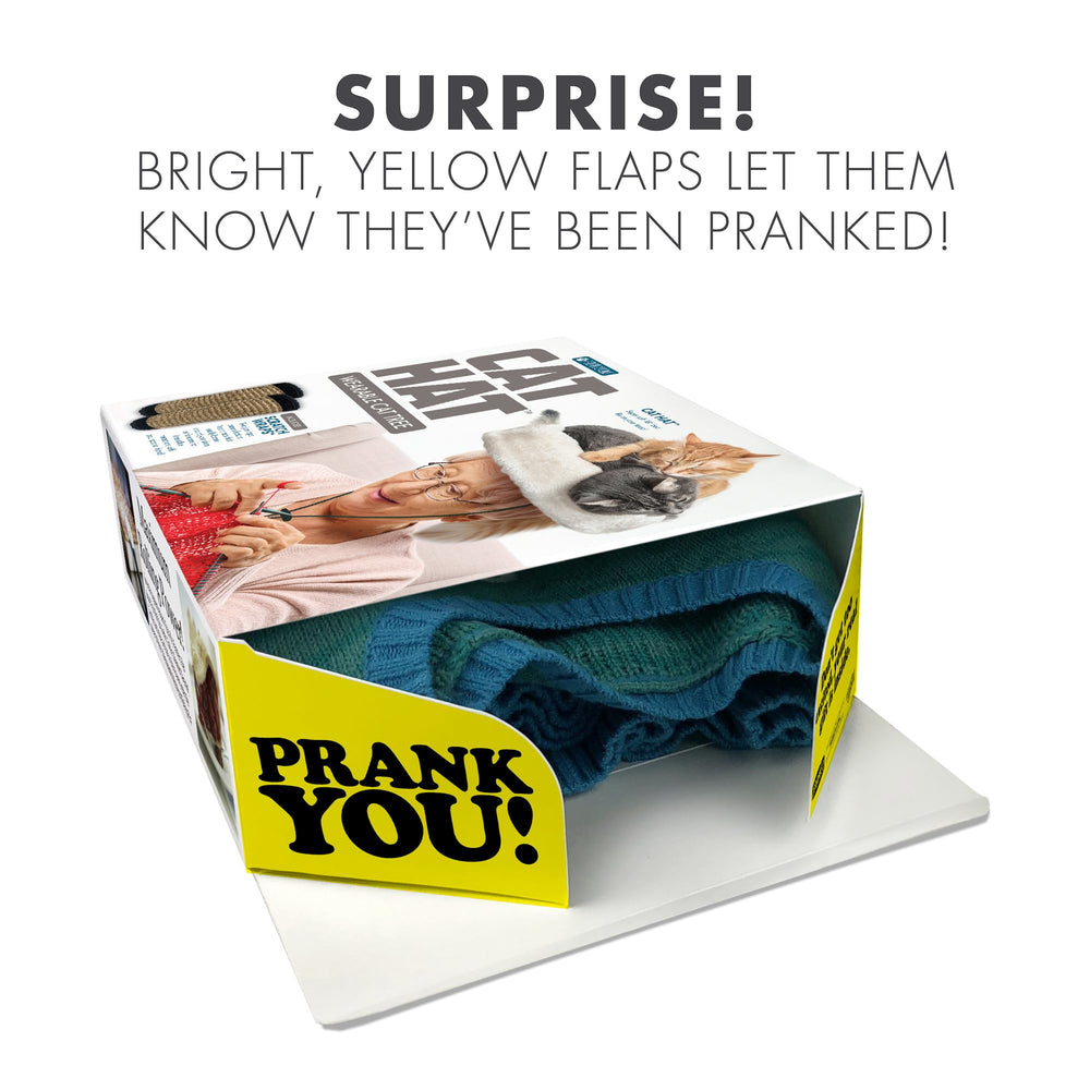 Prank Pack Cat Hat Box assembly demonstrates quick flat-pack setup for effortless gifting