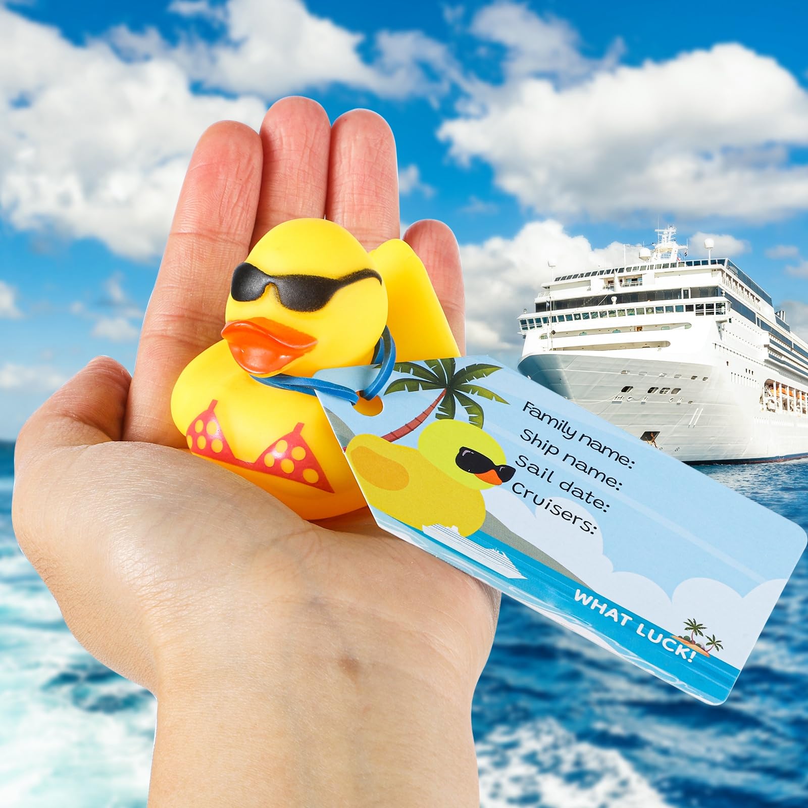 Prudiut cruise duck tag with writable surface for names and sailing details.