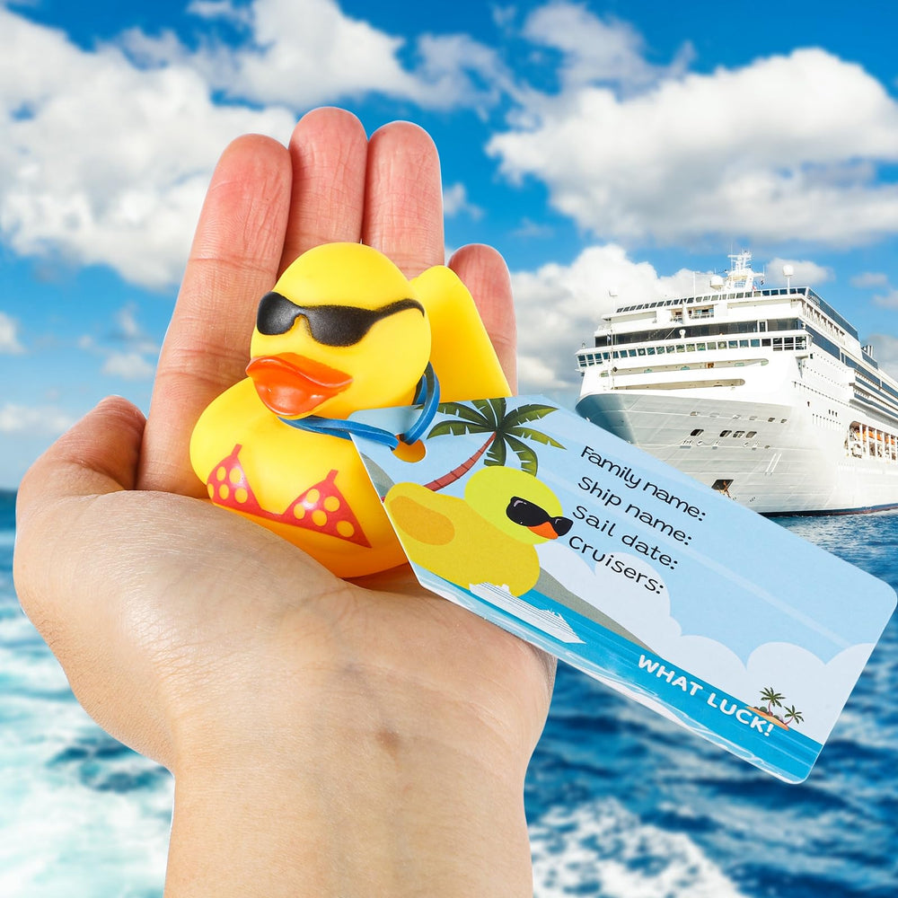 Prudiut cruise duck tag with writable surface for names and sailing details.