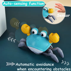 PULASIDO crab toy with soft lights and sounds to attract infants during crawling.