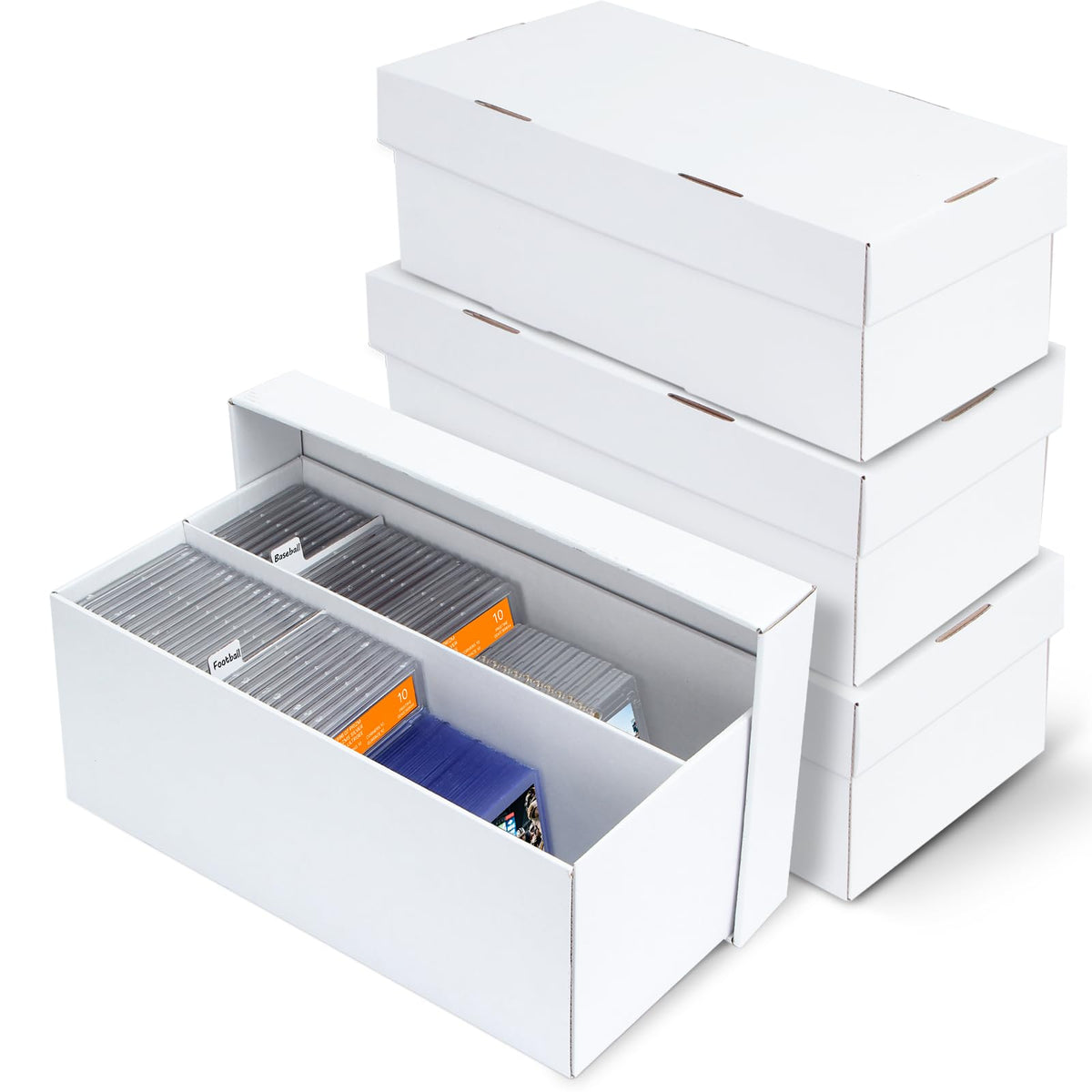 Pulchra 4-pack storage box with two rows for PSA slabs.
