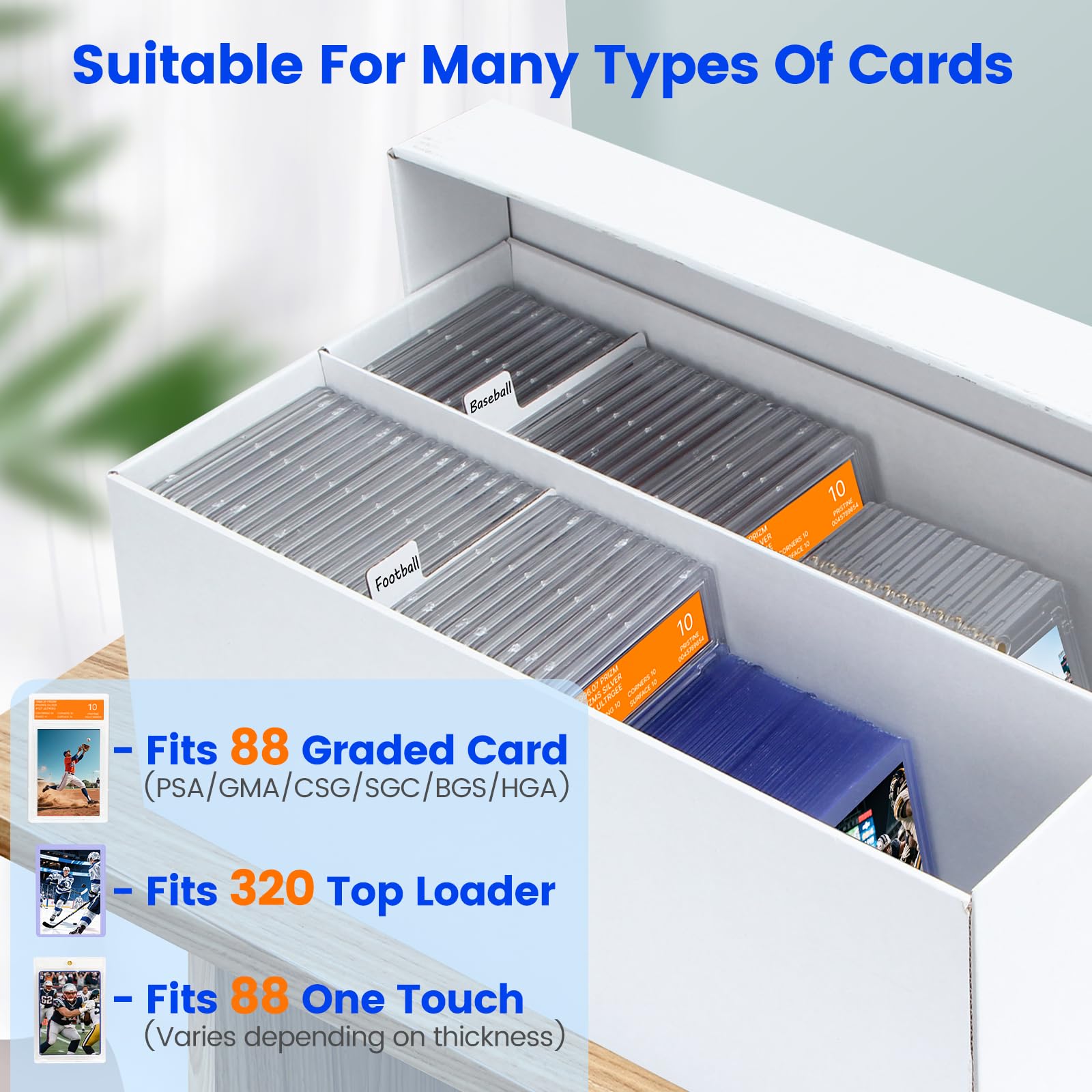Pulchra 6-box storage with 20 dividers highlighting high capacity for large graded card collections