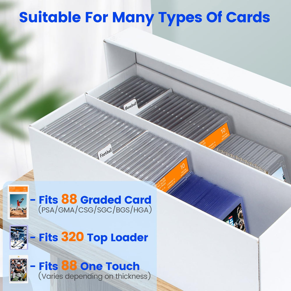 Pulchra 6-box storage with 20 dividers highlighting high capacity for large graded card collections