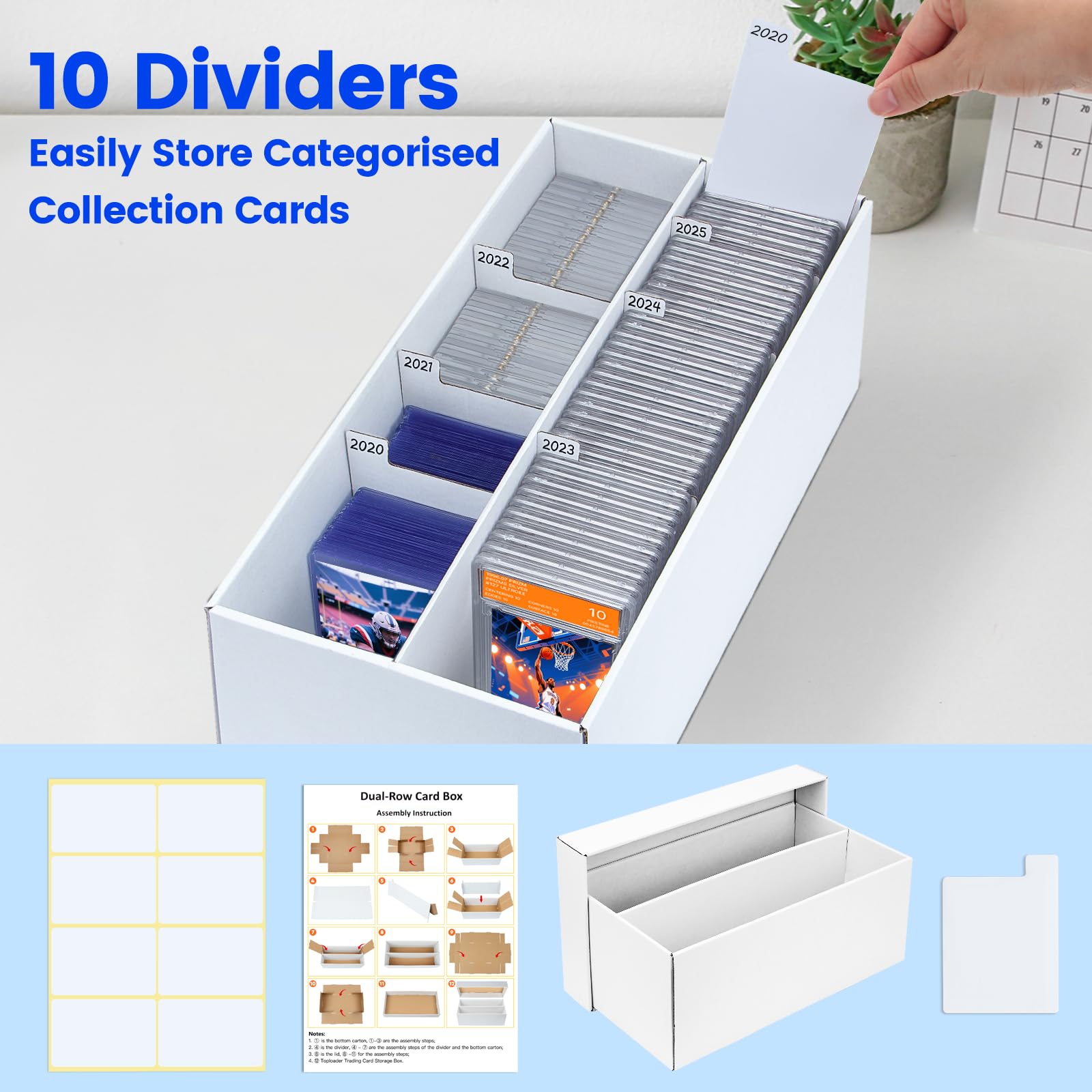 Pulchra scale lines on storage box assist quick assembly for a secure unit