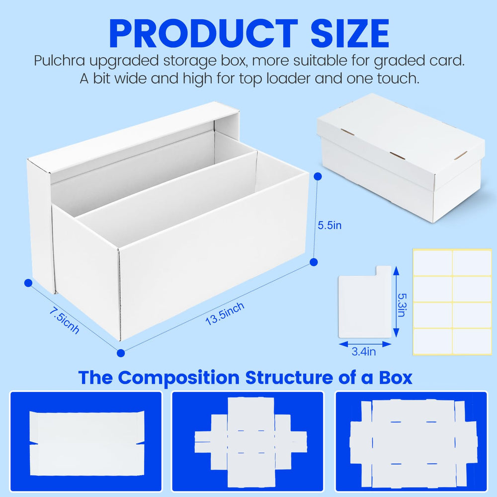 Pulchra graded-card case showing dividers for organization.