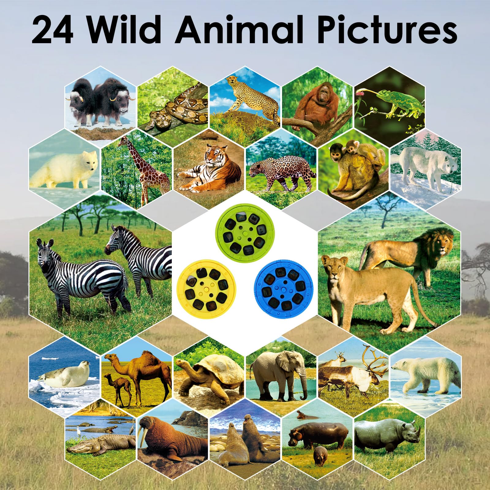Pup Go Animal Projector Bird Wildlife Disc brings feathered friends into view.