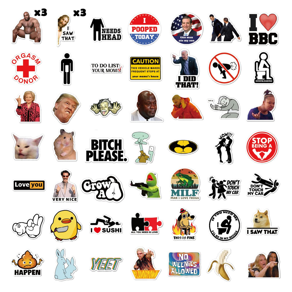 Puraesla stickers on bumper showcase bold memes for car customization