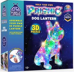Purple Ladybug Prismic dog lantern assembled glows softly for room décor