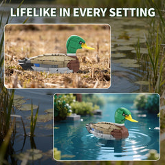 PuzzRyxius Mallard Duck on shelf enhances home office decor.