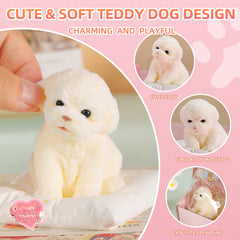 QCROAD SQUISHY Puppy Taba packaged set ready for gifting.