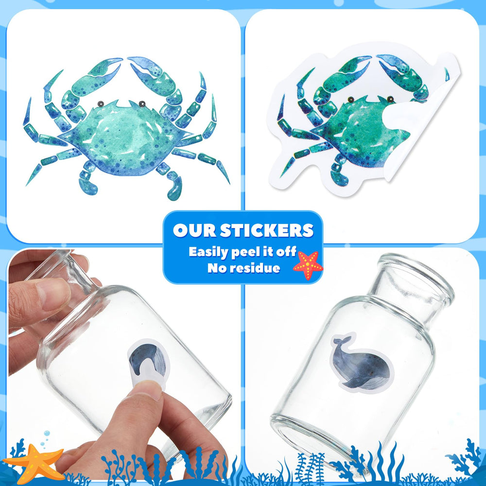 Qeeenar aquatic-themed party decor stickers for festive events.