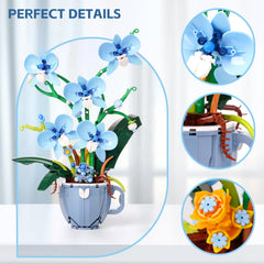 QFJ Ideas Blue Orchid assembly view showing easy building and calm activity
