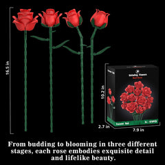 QIFUN rose growth stages show varied bloom forms for dynamic arrangements