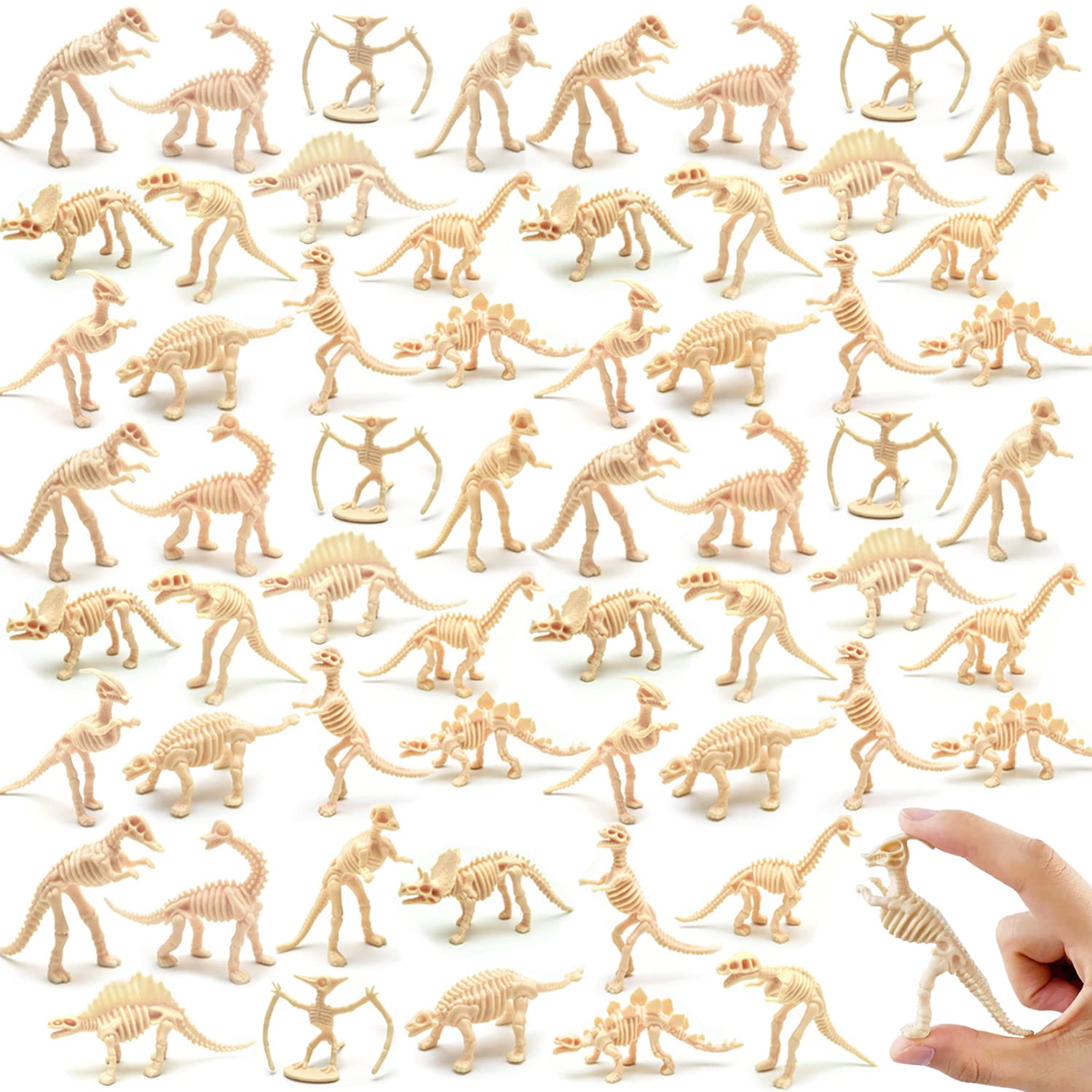 Qiuttnqn dinosaur fossil skeleton pterosaur figure for science play and classroom display.