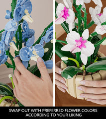 QLT QIAOLETONG orchid bonsai details highlight intricate petal textures