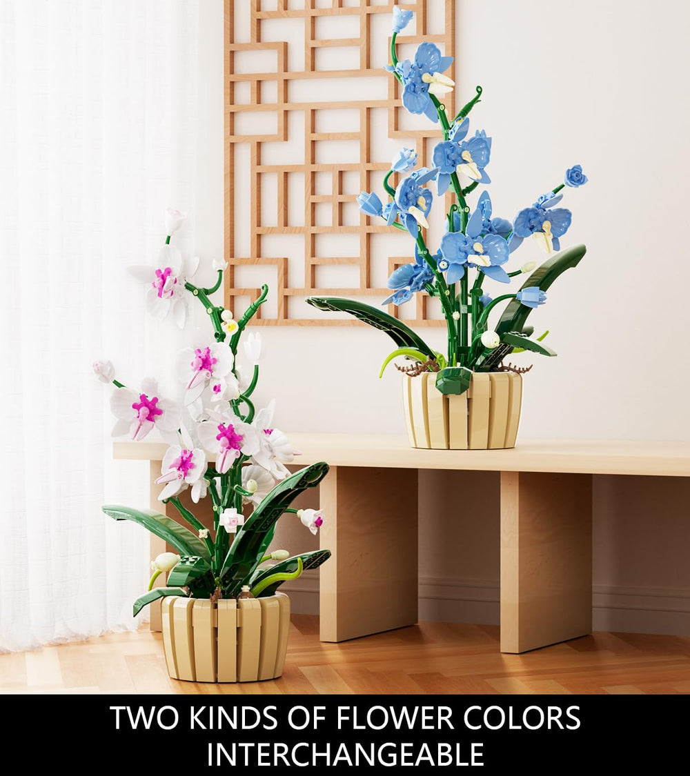 QLT QIAOLETONG ready-to-assemble set, ideal gift for orchid lovers